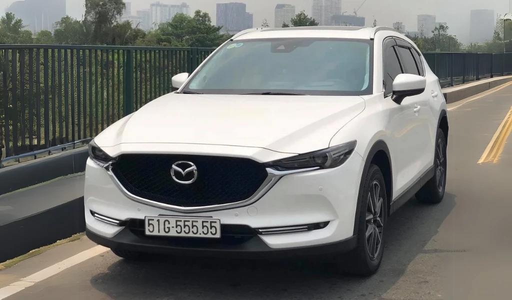 Thực trạng dịch vụ tư vấn chọn biển số đẹp với chuyên gia chưa phổ biến vì lo ngại lừa đảo, hiệu quả thật.