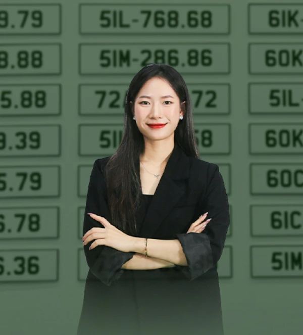 Nhân sự Bienso1 Lê Giang